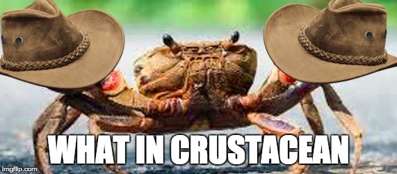 WHAT IN CRUSTACEAN | image tagged in what in tarnation | made w/ Imgflip meme maker