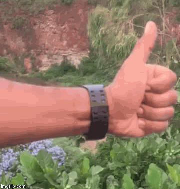 image tagged in gifs | made w/ Imgflip video-to-gif maker