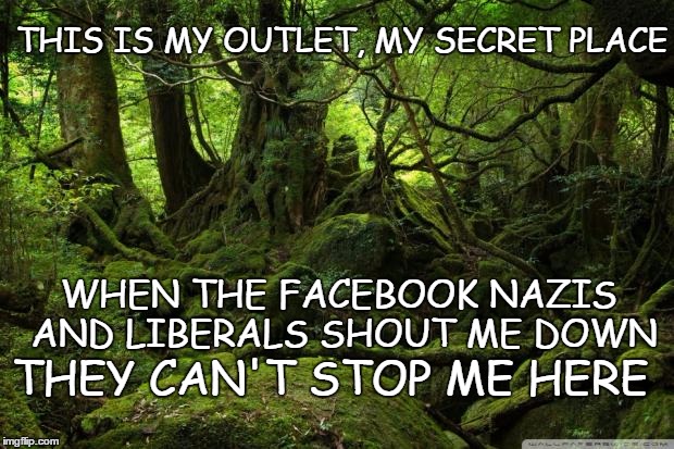 Rain Forest | THIS IS MY OUTLET, MY SECRET PLACE; WHEN THE FACEBOOK NAZIS AND LIBERALS SHOUT ME DOWN; THEY CAN'T STOP ME HERE | image tagged in rain forest | made w/ Imgflip meme maker