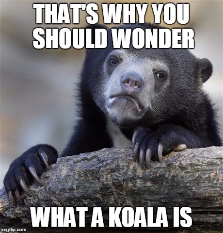 Confession Bear Meme | THAT'S WHY YOU SHOULD WONDER; WHAT A KOALA IS | image tagged in memes,confession bear | made w/ Imgflip meme maker