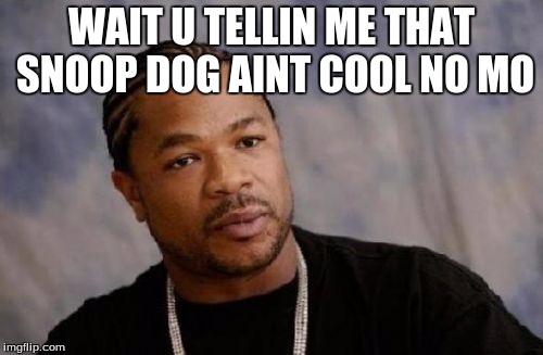 Serious Xzibit Meme | WAIT U TELLIN ME THAT SNOOP DOG AINT COOL NO MO | image tagged in memes,serious xzibit | made w/ Imgflip meme maker