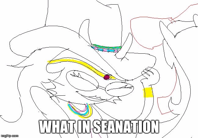 WHAT IN SEANATION | image tagged in cowboy feferi | made w/ Imgflip meme maker