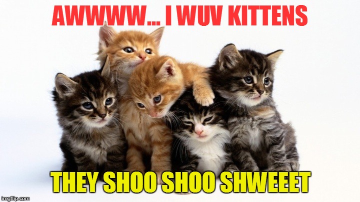 AWWWW... I WUV KITTENS THEY SHOO SHOO SHWEEET | made w/ Imgflip meme maker