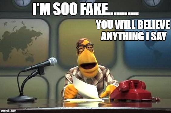 Muppet News Flash | I'M SOO FAKE........... YOU WILL BELIEVE ANYTHING I SAY | image tagged in muppet news flash | made w/ Imgflip meme maker