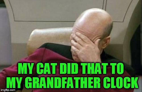 Captain Picard Facepalm Meme | MY CAT DID THAT TO MY GRANDFATHER CLOCK | image tagged in memes,captain picard facepalm | made w/ Imgflip meme maker