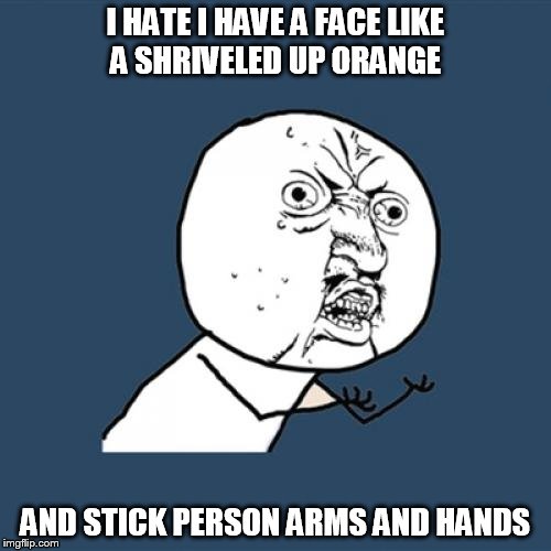 Y U No Meme | I HATE I HAVE A FACE LIKE A SHRIVELED UP ORANGE; AND STICK PERSON ARMS AND HANDS | image tagged in memes,y u no | made w/ Imgflip meme maker