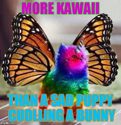 Rainbow unicorn butterfly kitten | MORE KAWAII; THAN A SAD PUPPY CUDLLING A BUNNY | image tagged in rainbow unicorn butterfly kitten | made w/ Imgflip meme maker
