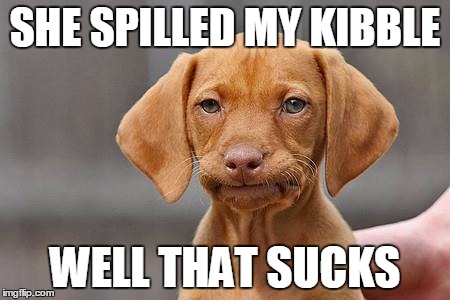 Dissapointed puppy | SHE SPILLED MY KIBBLE; WELL THAT SUCKS | image tagged in dissapointed puppy | made w/ Imgflip meme maker