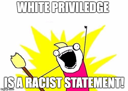 X All The Racism | WHITE PRIVILEDGE; IS A RACIST STATEMENT! | image tagged in memes,x all the y,racism | made w/ Imgflip meme maker