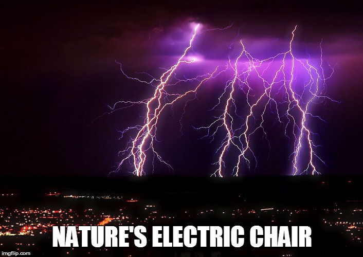 NATURE'S ELECTRIC CHAIR | made w/ Imgflip meme maker