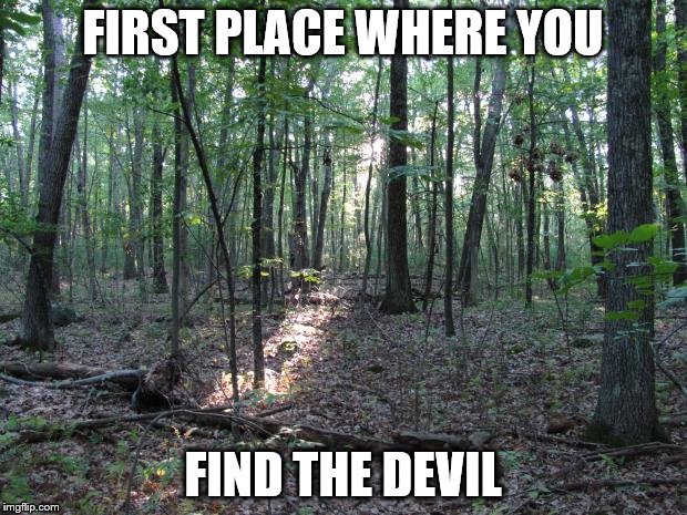 Woods | FIRST PLACE WHERE YOU; FIND THE DEVIL | image tagged in woods | made w/ Imgflip meme maker