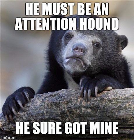 Confession Bear Meme | HE MUST BE AN ATTENTION HOUND HE SURE GOT MINE | image tagged in memes,confession bear | made w/ Imgflip meme maker