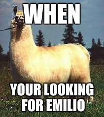 fat llamas | WHEN; YOUR LOOKING FOR EMILIO | image tagged in funny | made w/ Imgflip meme maker