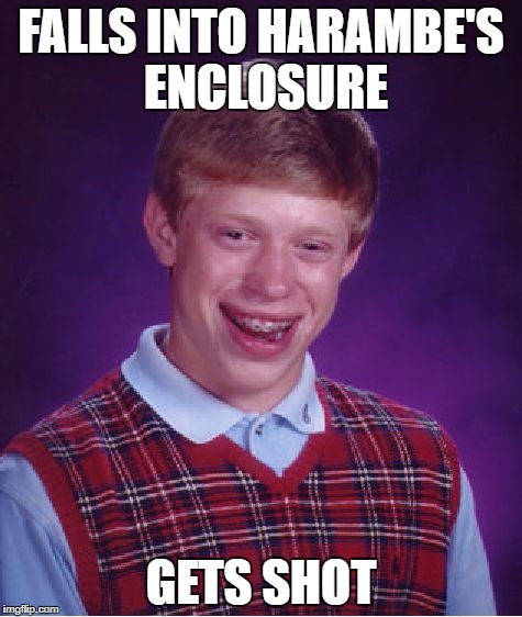 Bad Luck Brian | FALLS INTO HARAMBE'S ENCLOSURE; GETS SHOT | image tagged in memes,bad luck brian | made w/ Imgflip meme maker