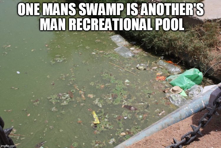 ONE MANS SWAMP IS ANOTHER'S MAN RECREATIONAL POOL | made w/ Imgflip meme maker