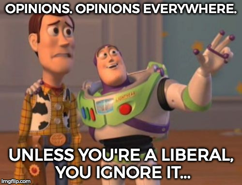 GOT 'EEM! | OPINIONS. OPINIONS EVERYWHERE. UNLESS YOU'RE A LIBERAL, YOU IGNORE IT... | image tagged in memes,x x everywhere | made w/ Imgflip meme maker