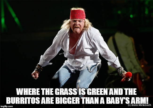 WHERE THE GRASS IS GREEN AND THE BURRITOS ARE BIGGER THAN A BABY'S ARM! | made w/ Imgflip meme maker
