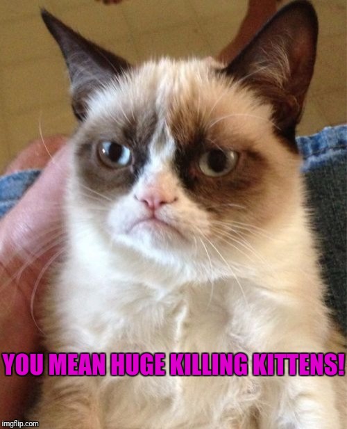 Grumpy Cat Meme | YOU MEAN HUGE KILLING KITTENS! | image tagged in memes,grumpy cat | made w/ Imgflip meme maker