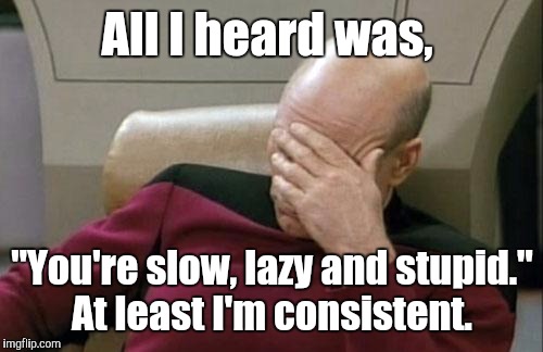 Captain Picard Facepalm Meme | All I heard was, "You're slow, lazy and stupid." At least I'm consistent. | image tagged in memes,captain picard facepalm | made w/ Imgflip meme maker