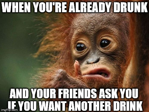 We've all been there.. | WHEN YOU'RE ALREADY DRUNK; AND YOUR FRIENDS ASK YOU IF YOU WANT ANOTHER DRINK | image tagged in monkey,drunk,friends,memes | made w/ Imgflip meme maker
