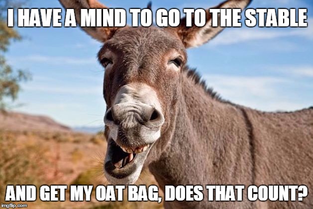 I HAVE A MIND TO GO TO THE STABLE AND GET MY OAT BAG, DOES THAT COUNT? | image tagged in donkey | made w/ Imgflip meme maker