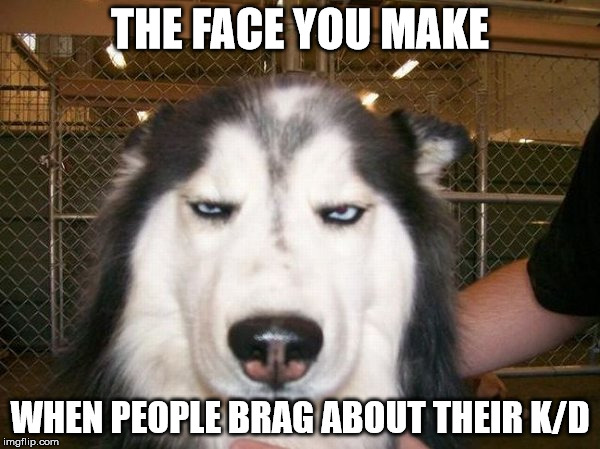 everyone has that one friend... | THE FACE YOU MAKE; WHEN PEOPLE BRAG ABOUT THEIR K/D | image tagged in games,cod,battlefield,gamer,memes,dog | made w/ Imgflip meme maker