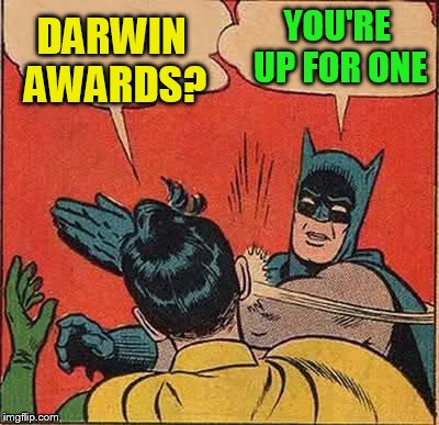 Batman Slapping Robin Meme | DARWIN AWARDS? YOU'RE UP FOR ONE | image tagged in memes,batman slapping robin | made w/ Imgflip meme maker