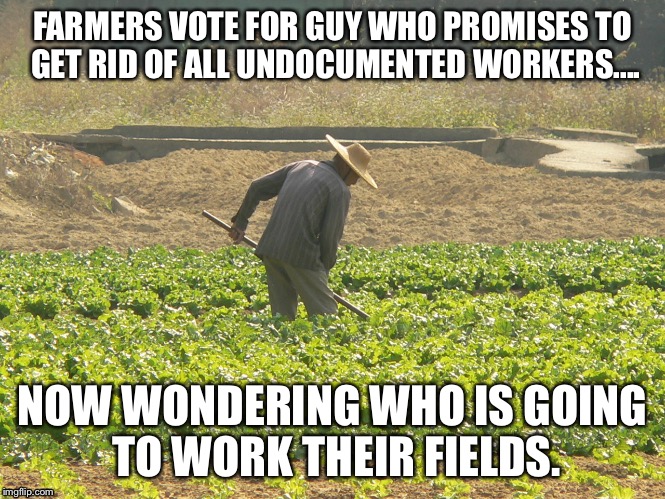 farmer FARMERS VOTE FOR GUY WHO PROMISES TO GET RID OF ALL UNDOCUMENTED WOR...