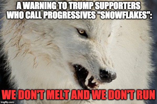 We Don't Run | A WARNING TO TRUMP SUPPORTERS WHO CALL PROGRESSIVES "SNOWFLAKES":; WE DON'T MELT AND WE DON'T RUN | image tagged in progressives aren't snowflakes,we don't melt,we don't run,you can't vote down the future,demographics don't lie | made w/ Imgflip meme maker