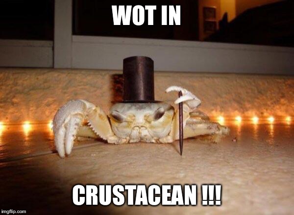 Fancy crab | WOT IN; CRUSTACEAN !!! | image tagged in fancy crab | made w/ Imgflip meme maker