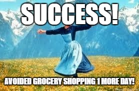 Look At All These | SUCCESS! AVOIDED GROCERY SHOPPING 1 MORE DAY! | image tagged in memes,look at all these | made w/ Imgflip meme maker