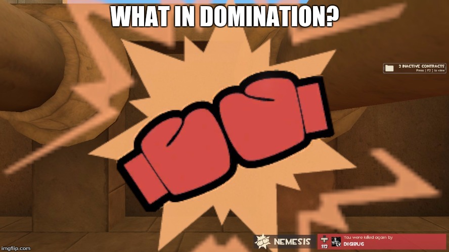 WHAT IN DOMINATION? | image tagged in what in domination | made w/ Imgflip meme maker