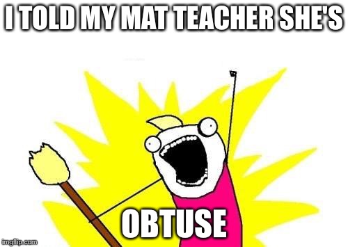 X All The Y Meme | I TOLD MY MAT TEACHER SHE'S OBTUSE | image tagged in memes,x all the y | made w/ Imgflip meme maker