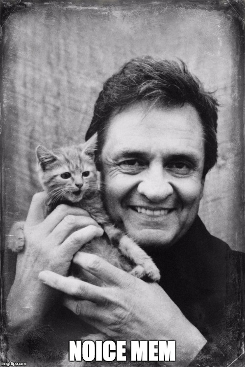 Johnny Cash Cat | NOICE MEM | image tagged in johnny cash cat | made w/ Imgflip meme maker