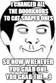 crying | I CHANGED ALL THE DOORKNOBS TO CAT SHAPED ONES; SO NOW WHENEVER YOU GRAB ONE, YOU GRAB THE... ;] | image tagged in crying | made w/ Imgflip meme maker