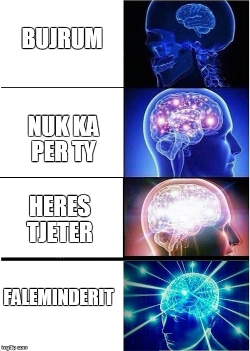 Expanding Brain | BUJRUM; NUK KA PER TY; HERES TJETER; FALEMINDERIT | image tagged in expanding brain | made w/ Imgflip meme maker