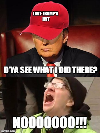 Trump Hat No | LOVE TRUMP'S HAT D'YA SEE WHAT I DID THERE? NOOOOOOO!!! | image tagged in trump hat no | made w/ Imgflip meme maker