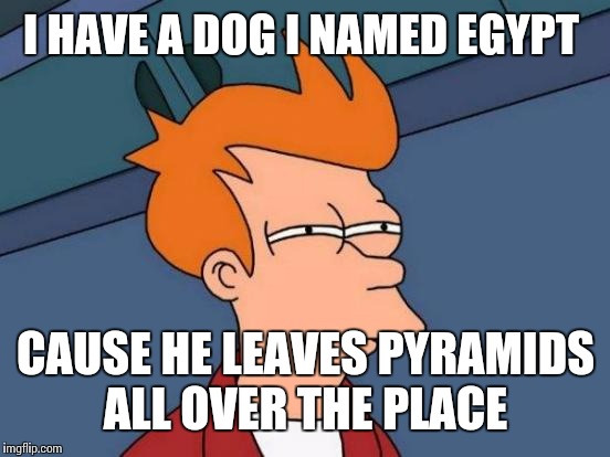 Futurama Fry Meme | I HAVE A DOG I NAMED EGYPT CAUSE HE LEAVES PYRAMIDS ALL OVER THE PLACE | image tagged in memes,futurama fry | made w/ Imgflip meme maker