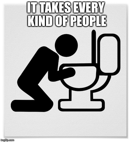 Barfing into the Toilet | IT TAKES EVERY KIND OF PEOPLE | image tagged in barfing into the toilet | made w/ Imgflip meme maker