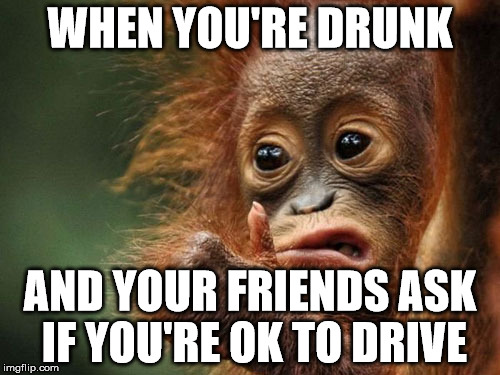When you're drunk... | WHEN YOU'RE DRUNK; AND YOUR FRIENDS ASK IF YOU'RE OK TO DRIVE | image tagged in memes,monkey,drunk,drive | made w/ Imgflip meme maker