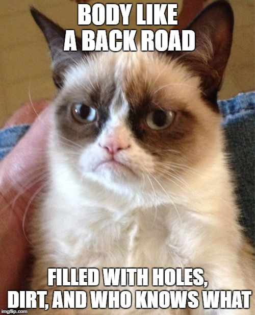 Grumpy Cat | BODY LIKE A BACK ROAD; FILLED WITH HOLES, DIRT, AND WHO KNOWS WHAT | image tagged in memes,grumpy cat | made w/ Imgflip meme maker