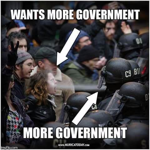 We Lit Fam | WANTS MORE GOVERNMENT; MORE GOVERNMENT | image tagged in memes | made w/ Imgflip meme maker