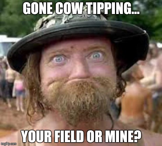Hillbilly | GONE COW TIPPING... YOUR FIELD OR MINE? | image tagged in hillbilly | made w/ Imgflip meme maker