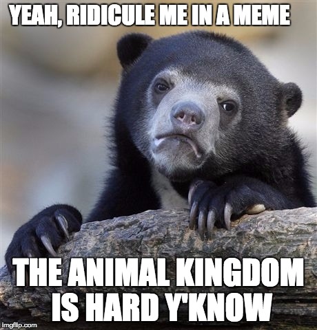 Confession Bear | YEAH, RIDICULE ME IN A MEME; THE ANIMAL KINGDOM IS HARD Y'KNOW | image tagged in memes,confession bear | made w/ Imgflip meme maker