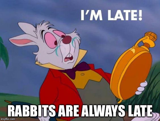 RABBITS ARE ALWAYS LATE | made w/ Imgflip meme maker