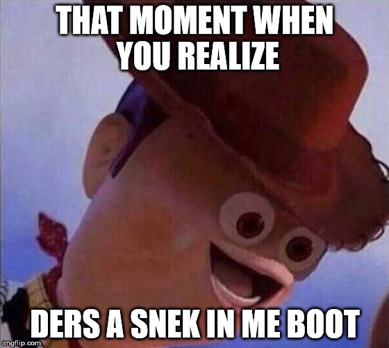THAT MOMENT WHEN YOU REALIZE; DERS A SNEK IN ME BOOT | image tagged in i have no idea what i am doing | made w/ Imgflip meme maker