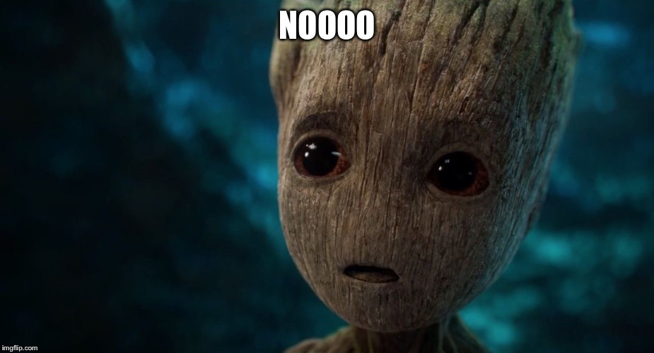 NOOOO | image tagged in groot's innermost thoughts | made w/ Imgflip meme maker