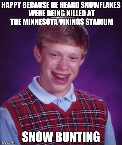 Bad Luck Brian | HAPPY BECAUSE HE HEARD SNOWFLAKES WERE BEING KILLED AT THE MINNESOTA VIKINGS STADIUM; SNOW BUNTING | image tagged in memes,bad luck brian | made w/ Imgflip meme maker