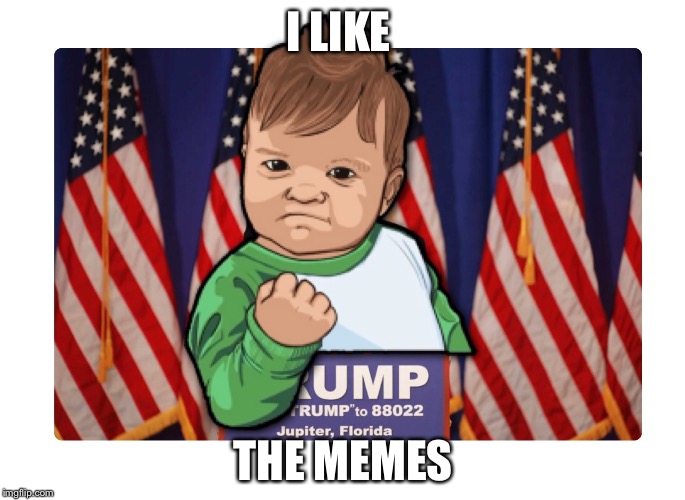 Success trump | I LIKE THE MEMES | image tagged in success trump | made w/ Imgflip meme maker