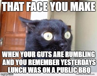 Scared Cat | THAT FACE YOU MAKE; WHEN YOUR GUTS ARE RUMBLING AND YOU REMEMBER YESTERDAYS LUNCH WAS ON A PUBLIC BBQ | image tagged in scared cat | made w/ Imgflip meme maker